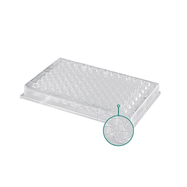 96-Well Plate, PP